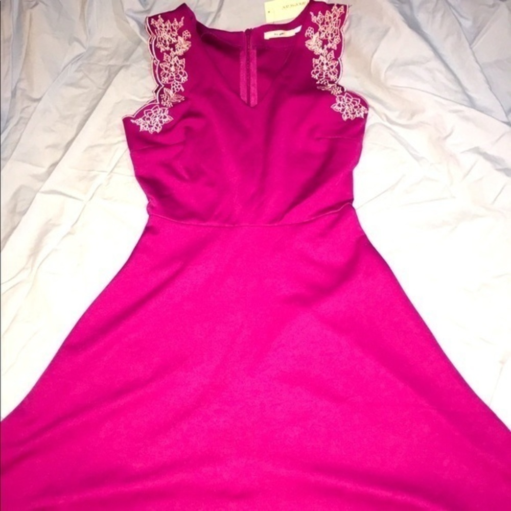 NWT Francesca’s Dress